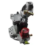 For Cummins Engine M11 N14 ISM 11 QSM11 Fuel Pump 3090942 3417674