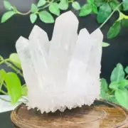 677g Cultivate Clear Quartz Crystal Cluster Mineral Specimen Energy Healing