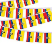 30 PCS Ecuador Flag Bunting,33 FT Ecuadorians National String Decoration, Decor Banner for Outdoor Indoor Patio Yard Classroom Club