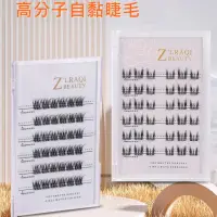 在飛比找momo購物網優惠-【ZLRAQI BEAUTY】自黏簇狀假睫毛(獨立假睫毛 自