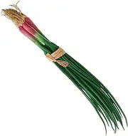 HEATSHAKING Simulation Green Onion Props Lifelike Onion Models Fake Decor Versatile Kitchen Decoration Vegetables