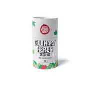Little Veggie Patch Co Culinary Herbs Seed Kit