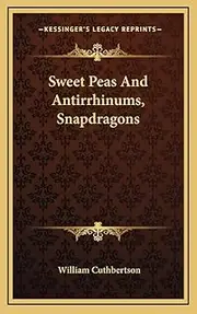 Sweet Peas and Antirrhinums, Snapdragons