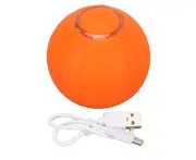Smart Interactive Cat Ball Rechargeable Teeth Grinding Bite Resistant Automatic Rolling Kitten Toys