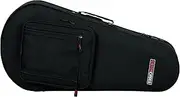 Gator GL-MANDOLIN Lightweight Polyfoam Mandolin Case
