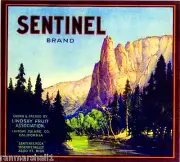 Lindsay Sentinel Yosemite #3 Orange Citrus Fruit Crate Label Art Print