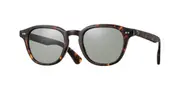 Eyevan Shelton-E Sun TORT Men's Sunglasses Tortoiseshell Size 49