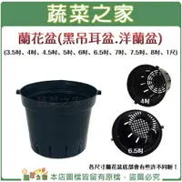 在飛比找樂天市場購物網優惠-【蔬菜之家】蘭花盆(黑吊耳盆.洋蘭盆)3.5吋、4吋、4.5