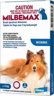 All Wormer Tablets for Dogs, 2 Count, Large
