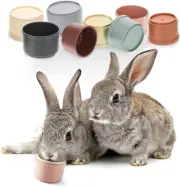 8 Pcs Multi-Colored Stacking Cups for Small Animals - Reusable Nesting Toys