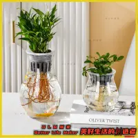 在飛比找蝦皮購物優惠-水耕瓶 水耕花器 水耕盆栽 水培植物瓶 花器 水耕籃 魚菜共