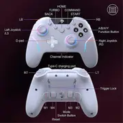 X20 Enhanced Controller for PC/NS/TV/Phone/Laptop with Hall Micro-Triggers RGB Lighting As Shown