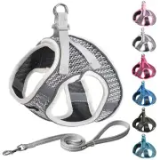 Step in Dog Harness and Leash Set for Walking - Adjustable Dog Harness with P...