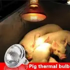 INFRA RED HEAT BULB LAMP 250W Poultry Chick Brooder Lambs Livestock} F0G7