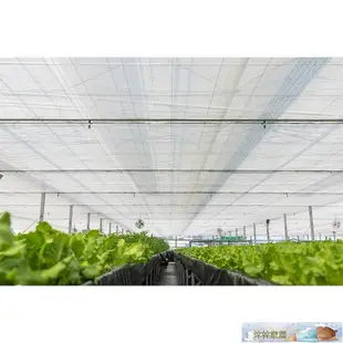 溫室 隔熱 遮陰網 100%日本製 明涼網 50%遮光率-沐林家居