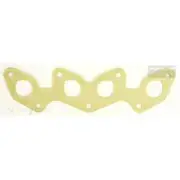 Platinum Extractor Gasket - HSM309