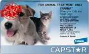 Flea & Tick Spot-On for Small Dogs & Cats 0.5-22kg Blue 6 Pack Protection