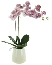 Creative Displays Purple Orchid Floral Arrangement in Glass Vase