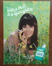 1969 Salem Cigarettes Pretty Brunette Lying In Field Photo Vintage Print Ad