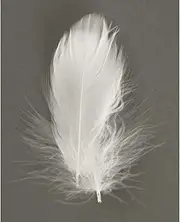 Rayher 8514302 Decorative Feather 5-10 cm 5 g White