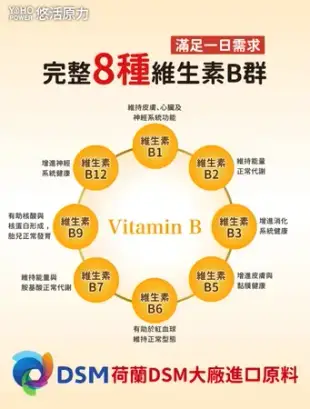 【悠活原力】綜合維生素B群 緩釋膜衣錠X5盒(60粒/瓶)