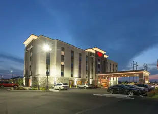 Hampton Inn Buffalo-Hamburg