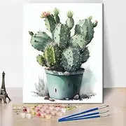 Cactus Paint by Numbers for Adults, Cactus in the Basin DIY Paint by Numbers, Green Cactus Watercolour Paint by Numbers for Adults Beginners Oil Painting for Home Wall Decor 16x20 Inch Frameless