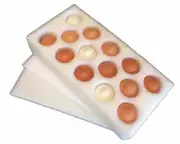 NEW 14 HOLE EGG SHIPPING/SHIPPER FOAM 12 SETS - DUCK, TURKEY, LARGE CHICKEN EGGS