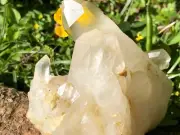 RARE 799g Clear Quartz Natural White Crystal Cluster Energy Healing Specimen