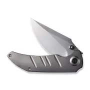 WE Knives Riff-Raff 22020B-4 Blasted Titanium CPM-20CV Stainless Pocket Knife