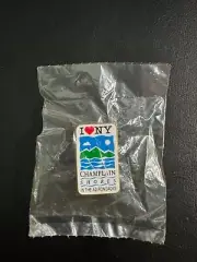 I love New York Champlain Shores The Adirondacks NEW Hat Lapel Tie Backpack Pin