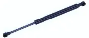 Liftgate Lift Support-2 Door, Hatchback Tuff Support fits 2005 Renault Clio (for: Renault)