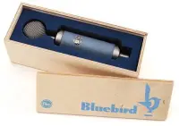 在飛比找Yahoo!奇摩拍賣優惠-全新品出清 Blue Microphones Bluebir