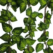 Artificial Pothos / Ivy Hanging Vines 260Cm Each (5 Pack) Floral Décor