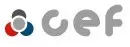 CEF FO04107 Accelerator Cable