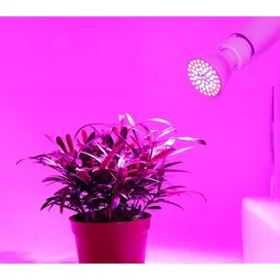 全光譜78 LED 植物燈 E27植物燈泡 50 W LED植物燈 補光燈 夾燈 植物生長燈 多肉植物燈 植物生長燈燈