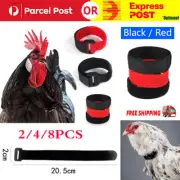 Anti Crow Collar for Roosters Cockerel Poultry No Crow Noise Nylon Belt Neckband