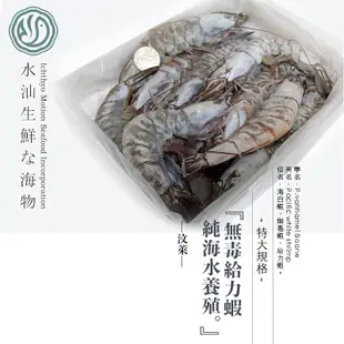 【水汕海物】汶萊 皇室御用 市面最大規格 每盒約10隻 海養白蝦 (16/20)規格，無毒金饌蝦，純海水養殖。