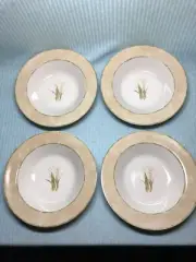 NEW (4) 222 Fifth Narcissus 9” Rimmed Soup Salad Bowl Cheri Blum NO SIGNS OF USE
