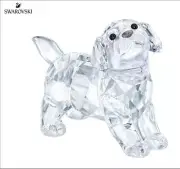 Swarovski Labrador Puppy, standing MIB #5400141