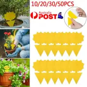 10/20/30/50x Dual Sided Sticky Trap Insect Killer Fruit Fly Whitefly Trap Gnat