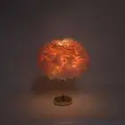 Feather Table Lamp Touch Dimming 3 Color Temp USB Charging Decorative Desk AU