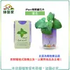 【綠藝家】iPlant易開罐花卉-貓薄荷