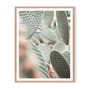 Full Cactus 2 Framed Printed Wall Art - Timber