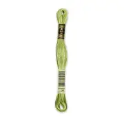 DMC 6-Strand Embroidery Cotton 8.7yd-Variegated Khaki Green - 12 Pack