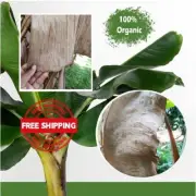 Dried Banana Leaves 200g Organic Pet Supplies Fish Aquarium Shrimp Cleaning NEW