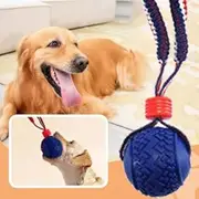 DWYYWSM Interactive Dog Toy, Teether with Rope Dog Ball Pet Cchewers Toys, Dog Ball Thrower