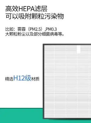 副廠 HEPA濾網 適配 飛利浦 除濕機  FY1119/20 (適用DE5206、DE5205) 抗敏清淨