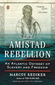The Amistad Rebellion: An Atlantic Odyssey of Slavery and Freedom by Marcus Redi