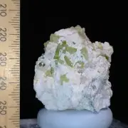 Green Tourmaline Elbaite crystal cluster on Albite matrix mineral specimen 240ct